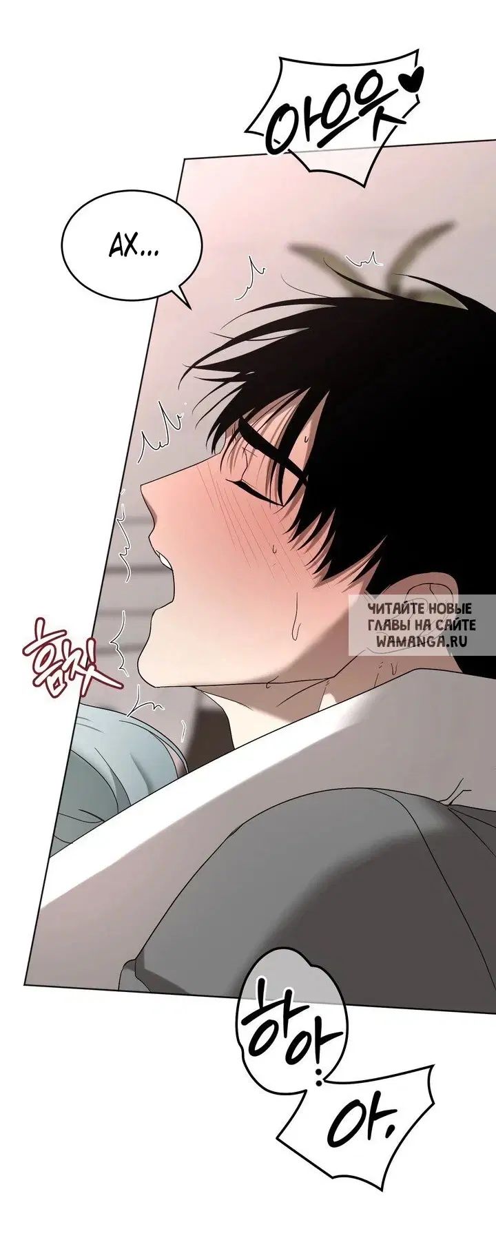 Page 53.000