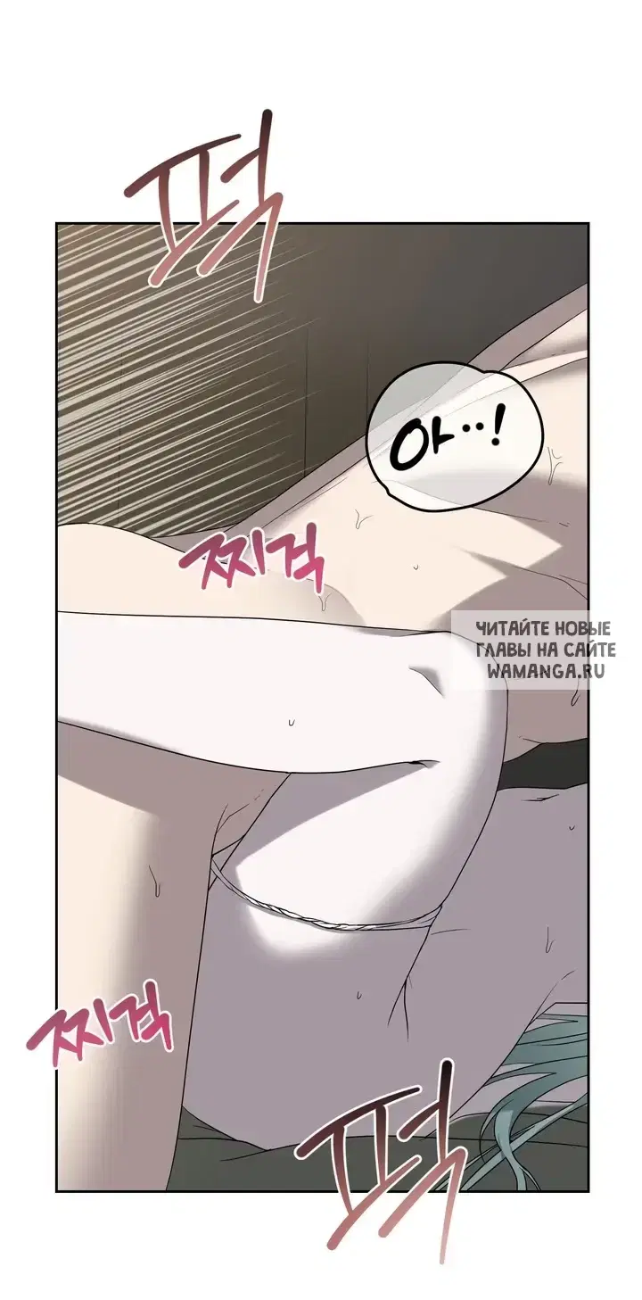 Page 53.000