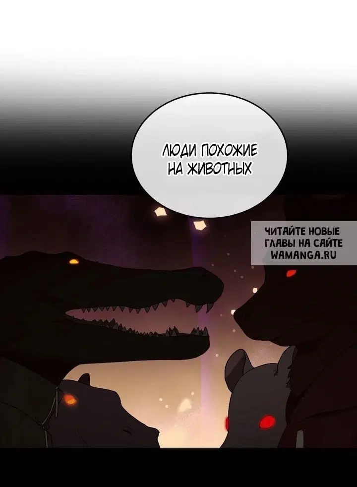 Page 61.000