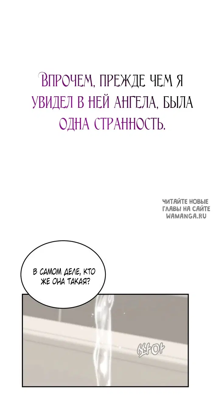 Page 81.000
