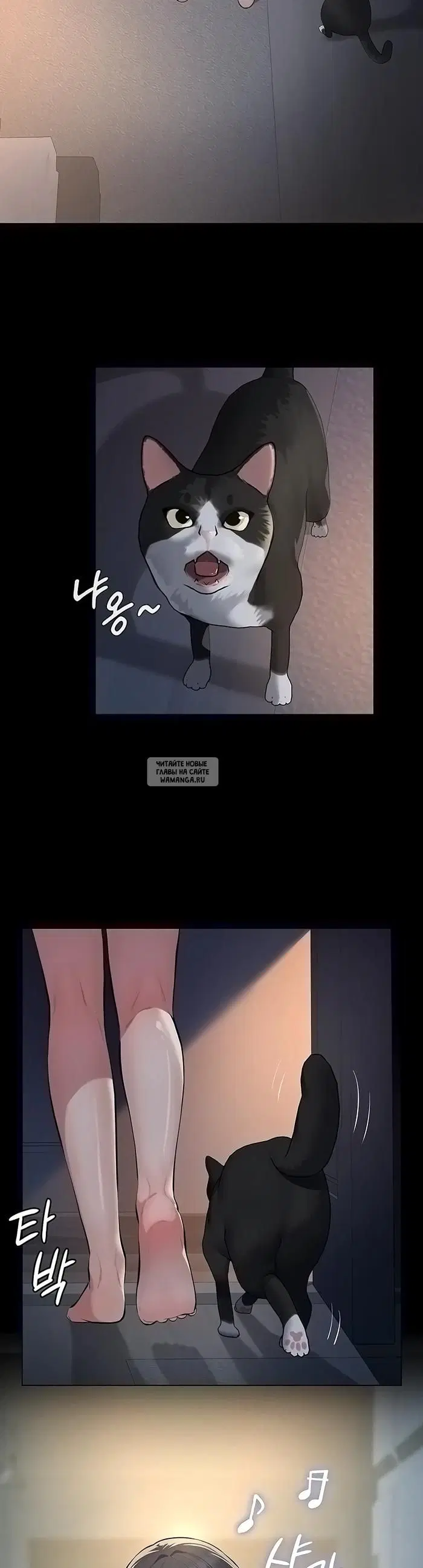 Page 23.000