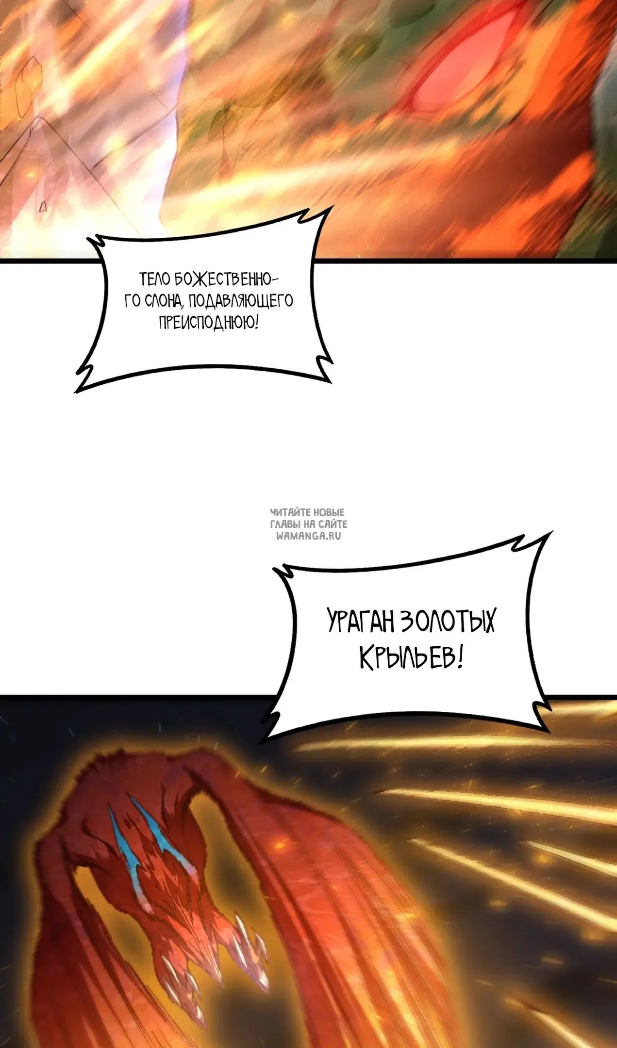 Page 36.000