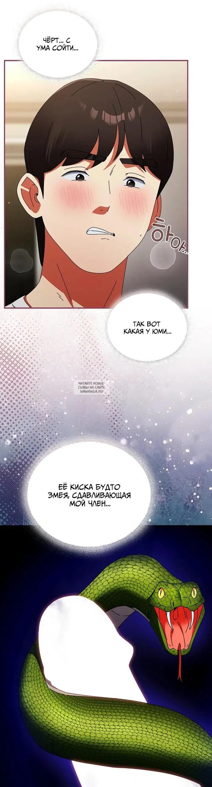 Page 24.000