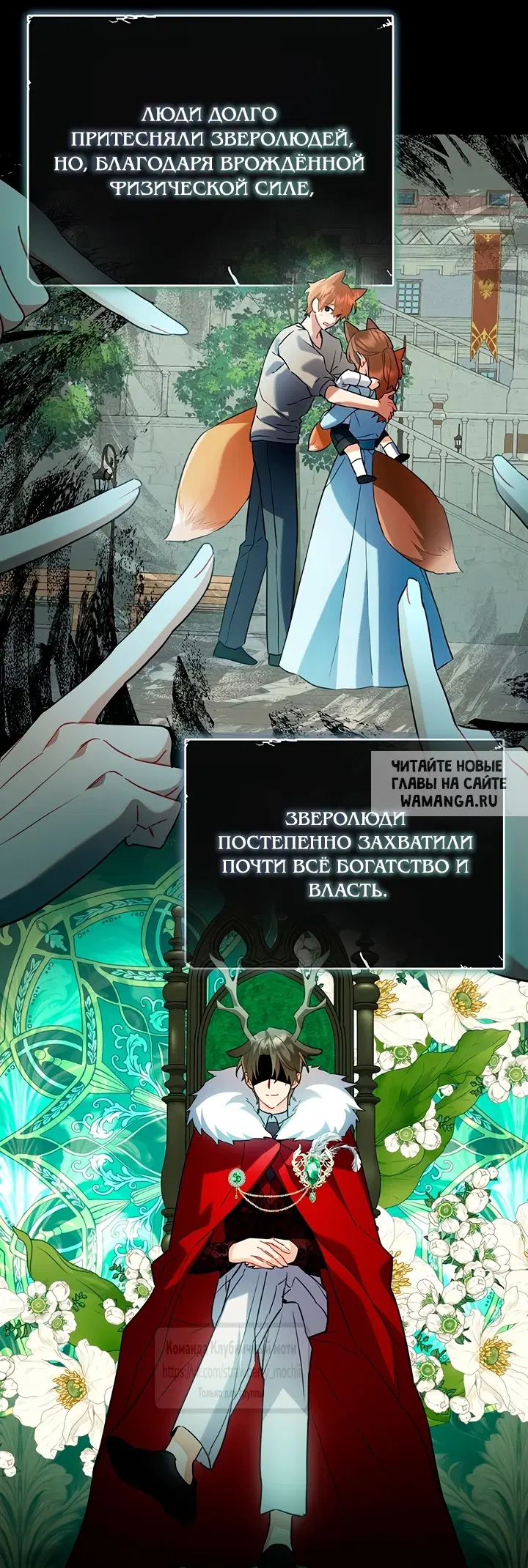 Page 26.000
