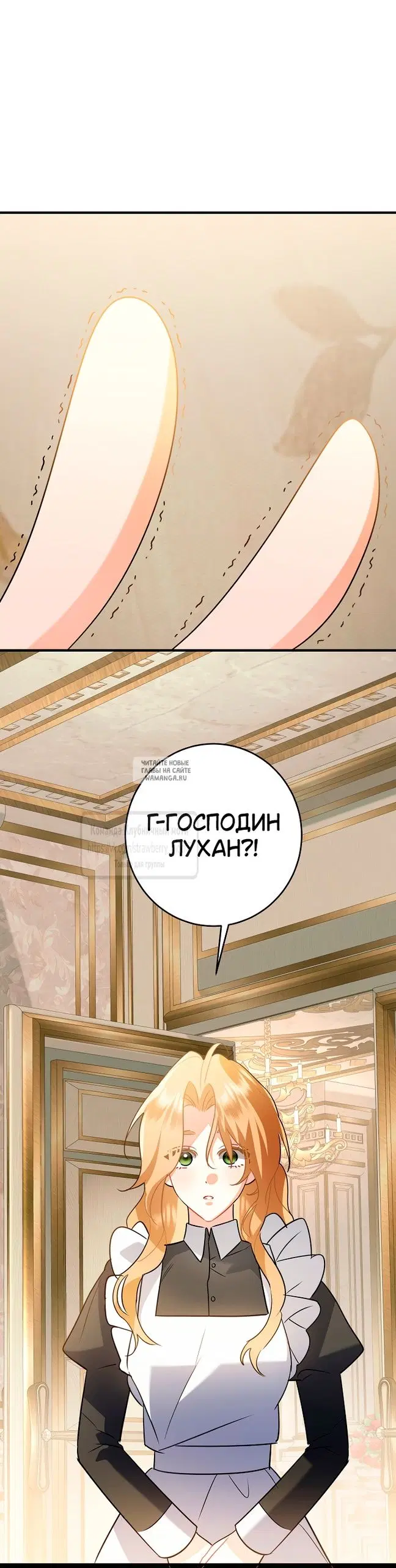 Page 51.000