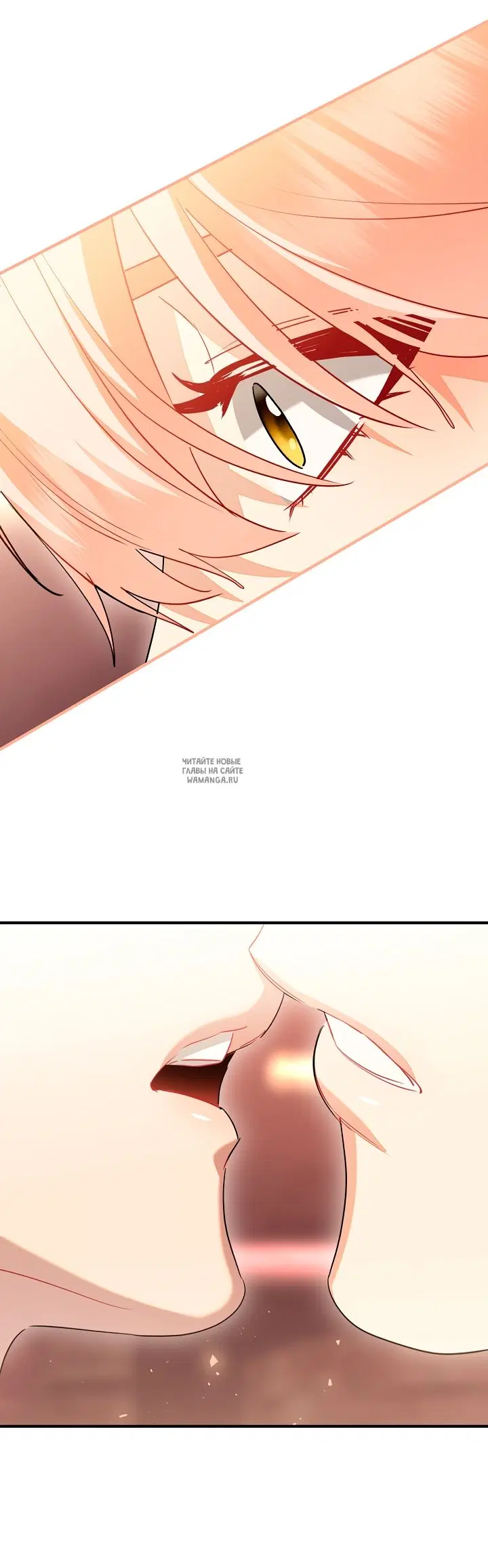 Page 53.000