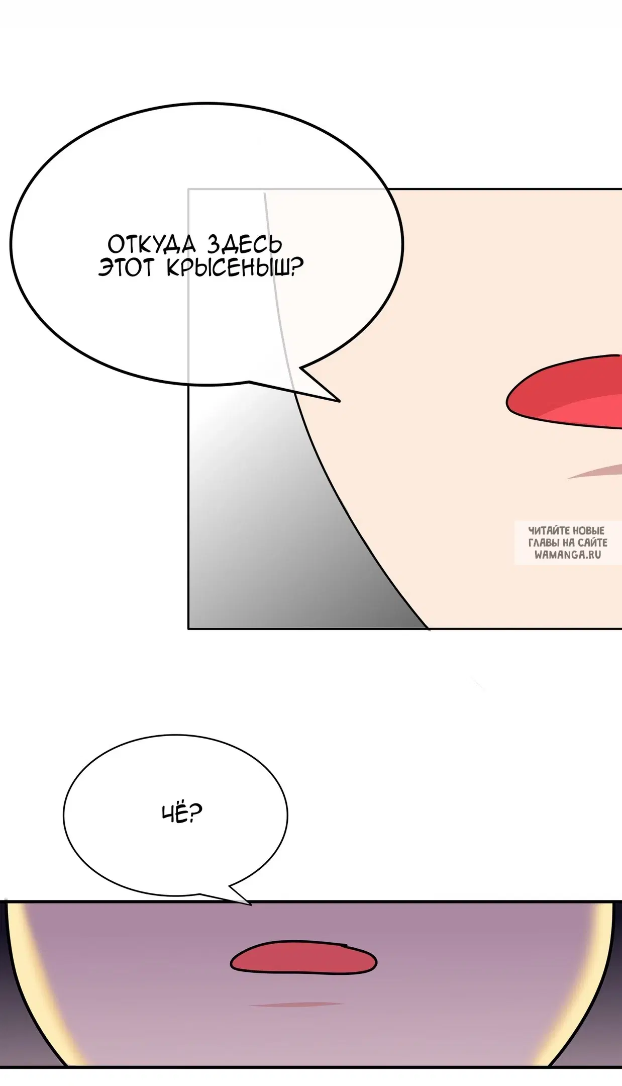 Page 25.000