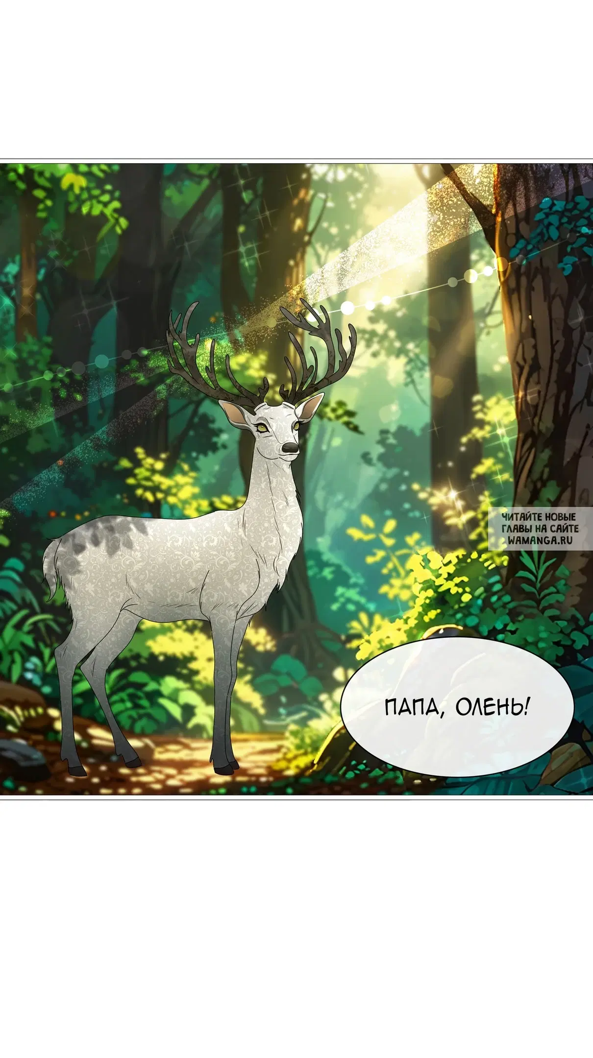 Page 37.000