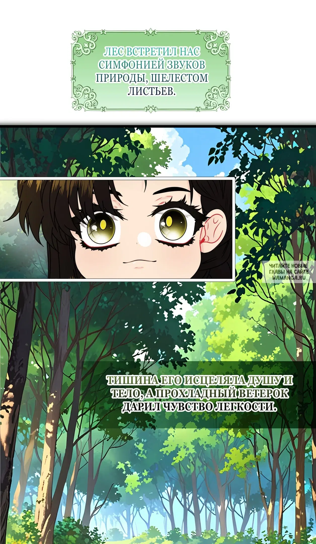 Page 32.000