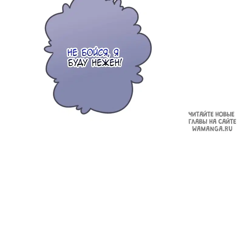 Page 41.000