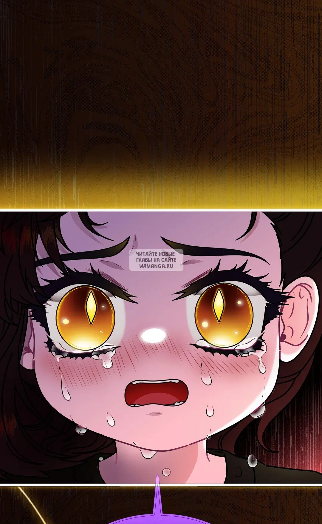 Page 51.000