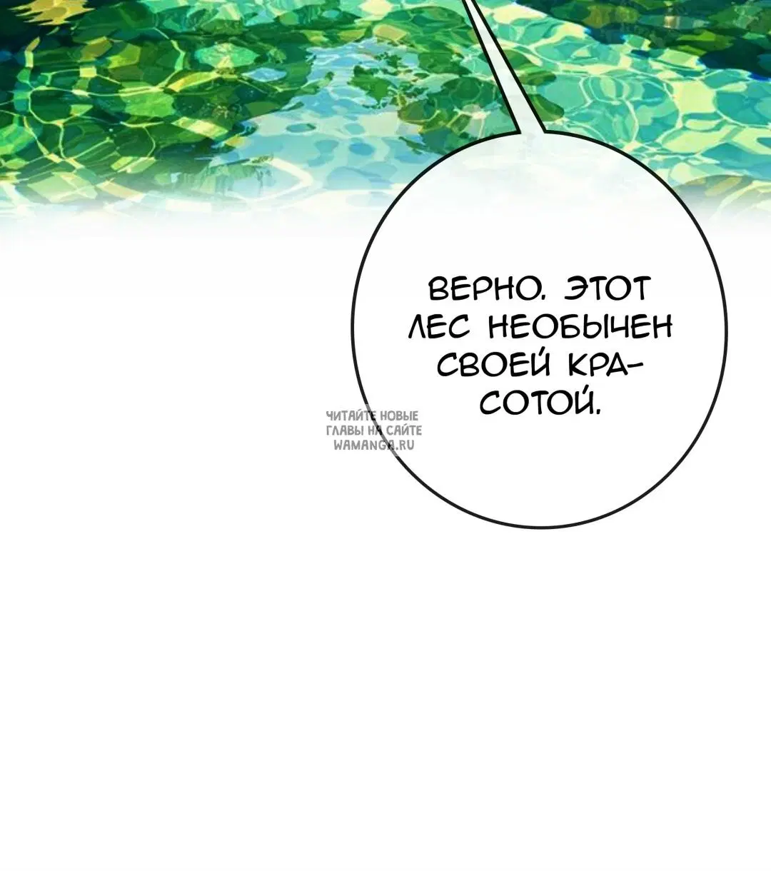 Page 51.000