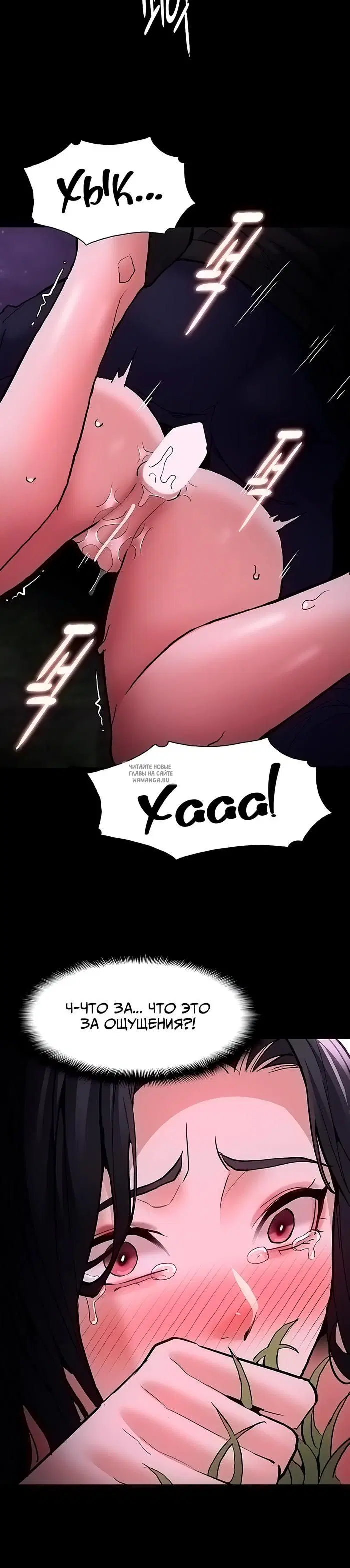 Page 31.000