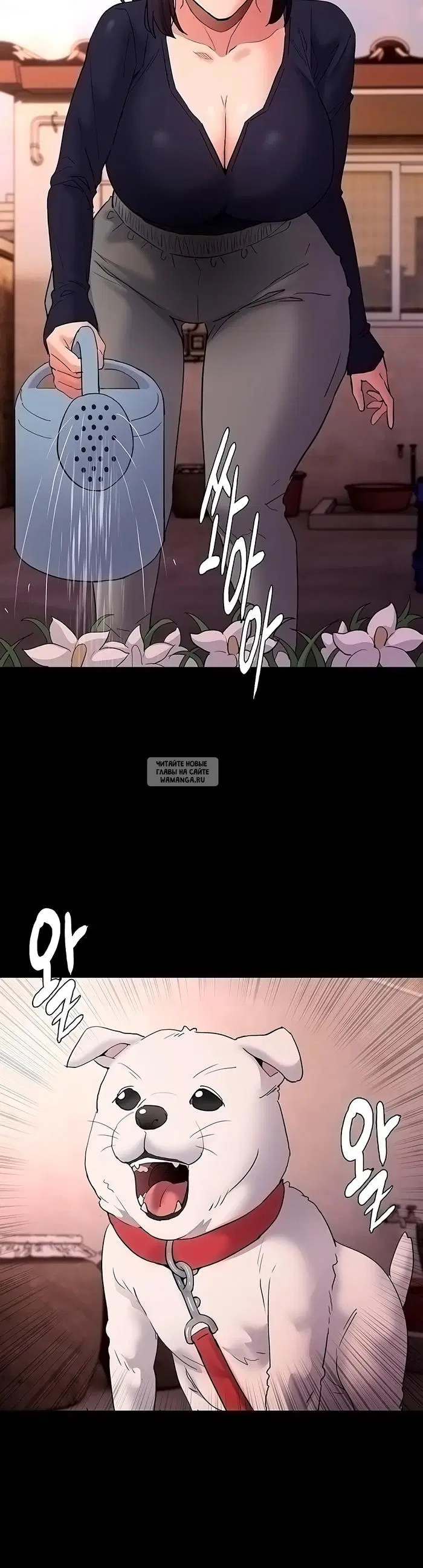 Page 33.000