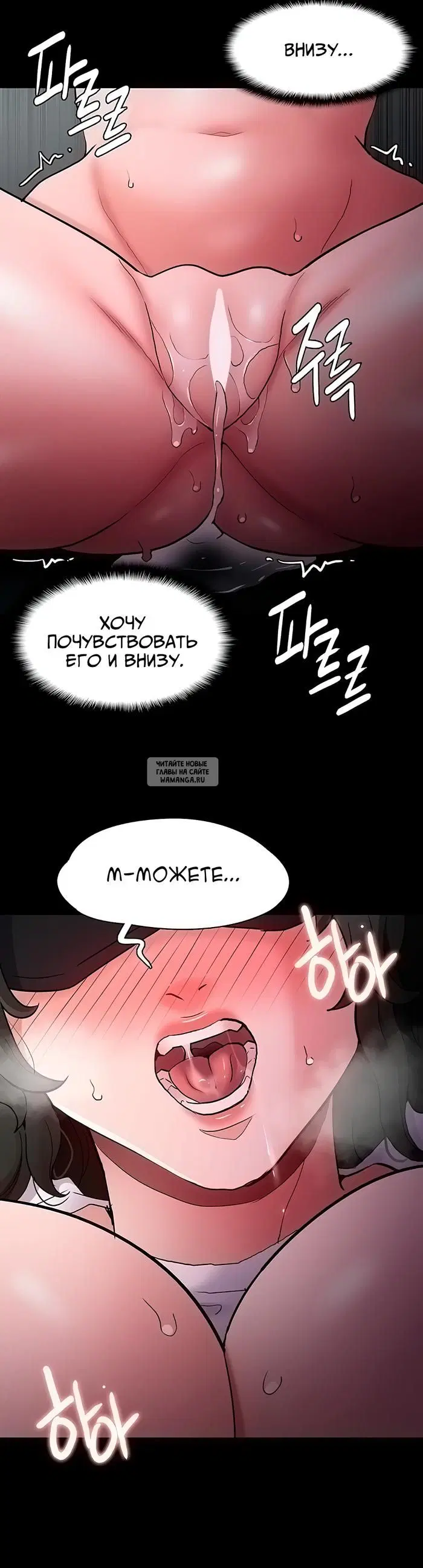 Page 41.000