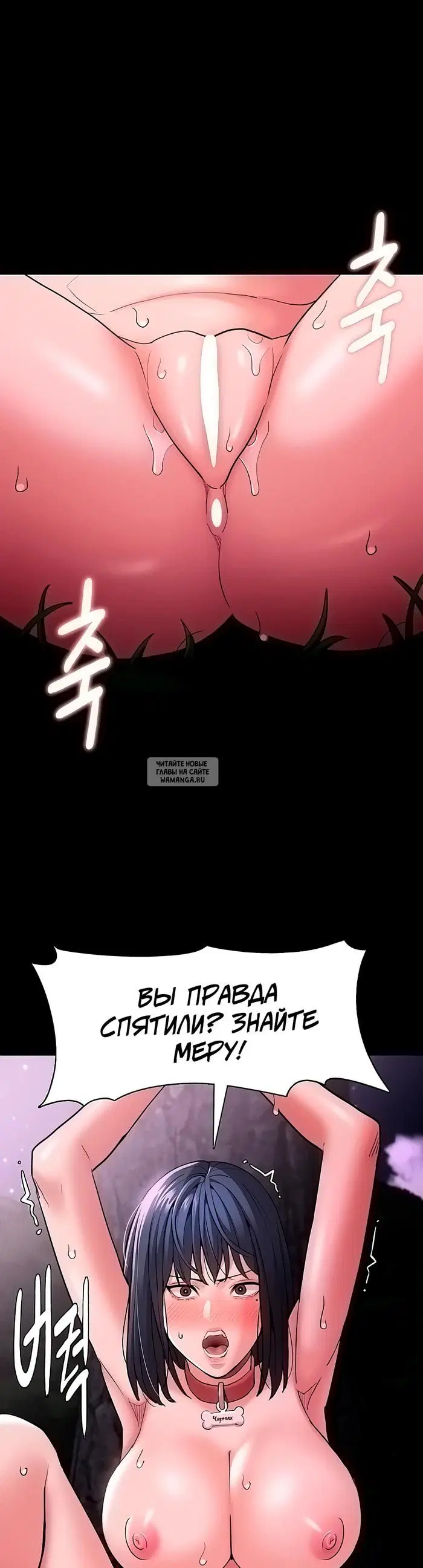 Page 41.000