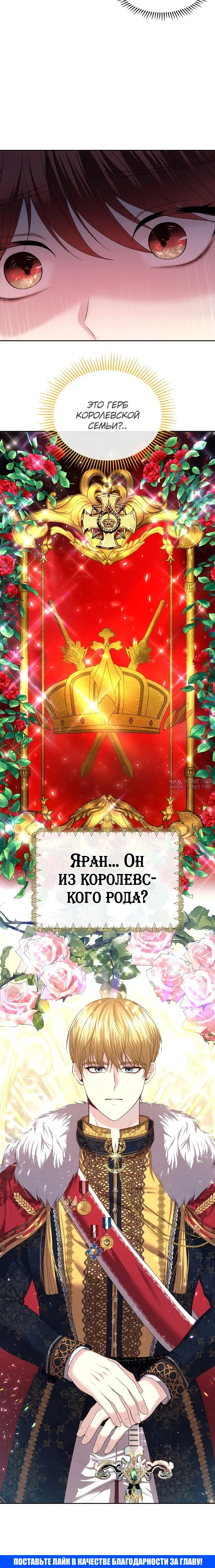 «Главное условие - развод», глава 3, страница 24.000000000