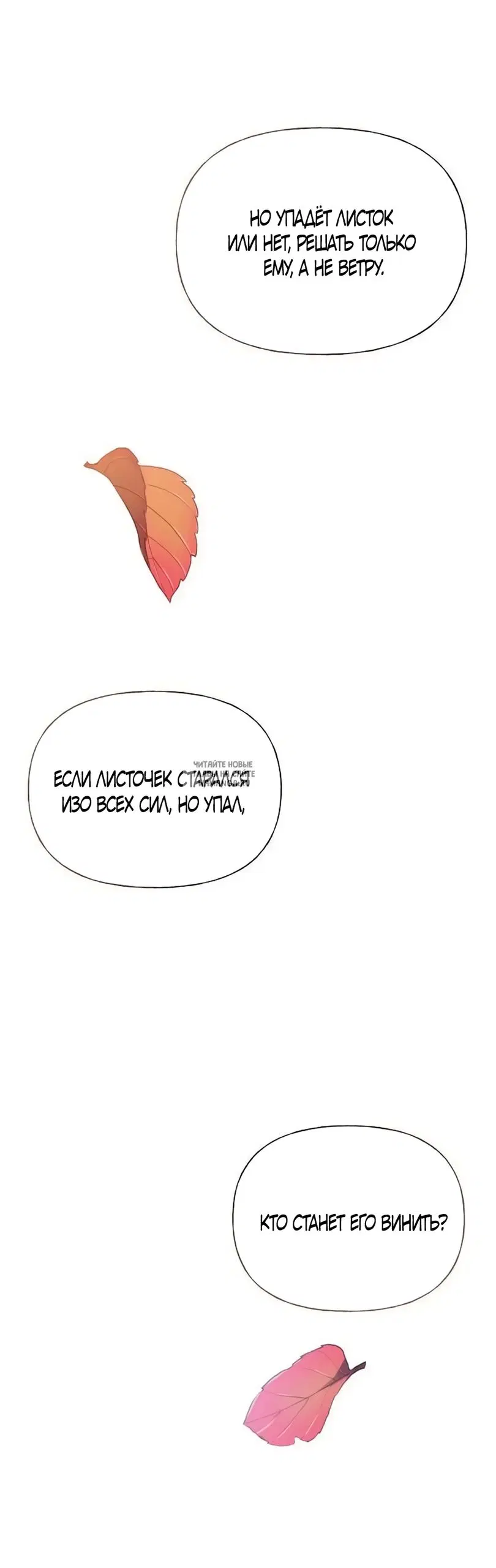 Page 27.000