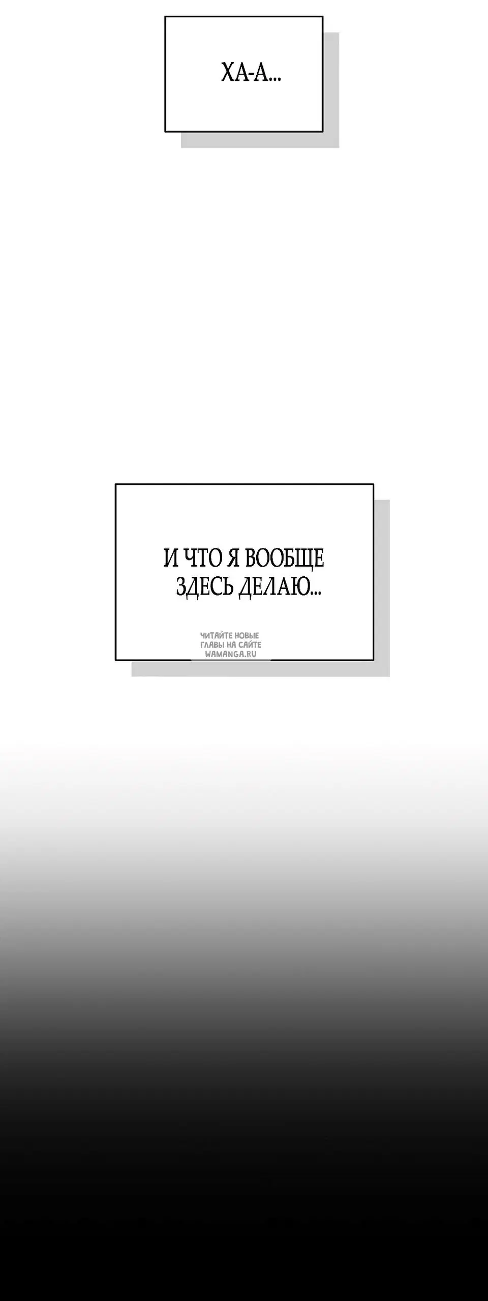 Page 37.000