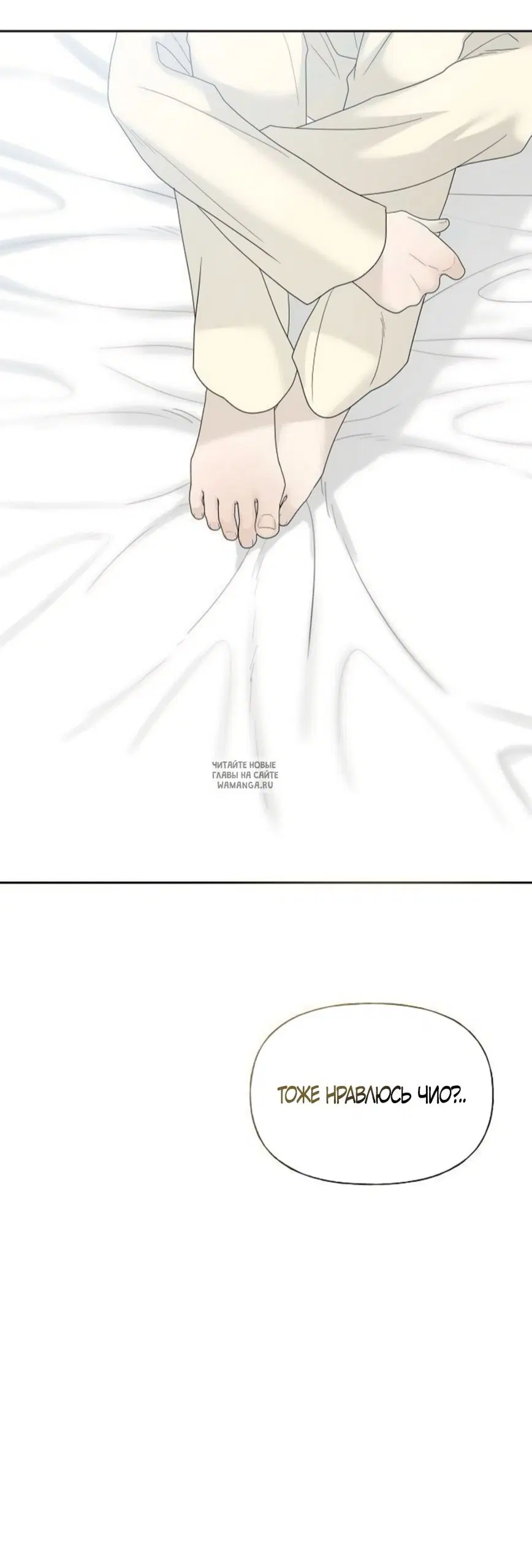 Page 31.000