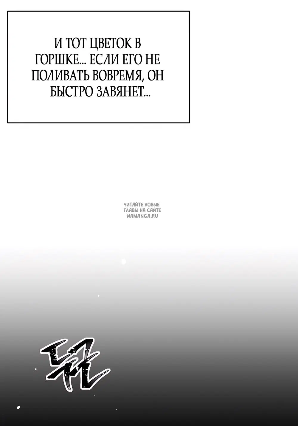 Page 50.000
