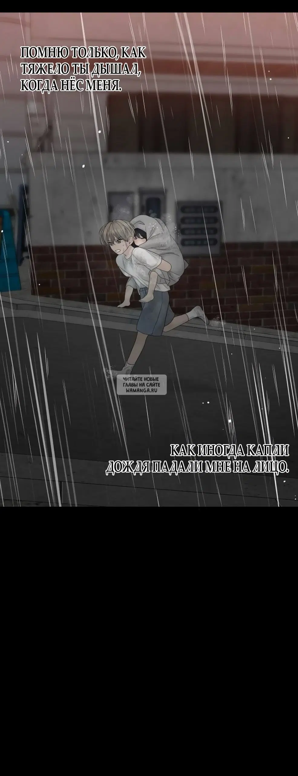 Page 81.000