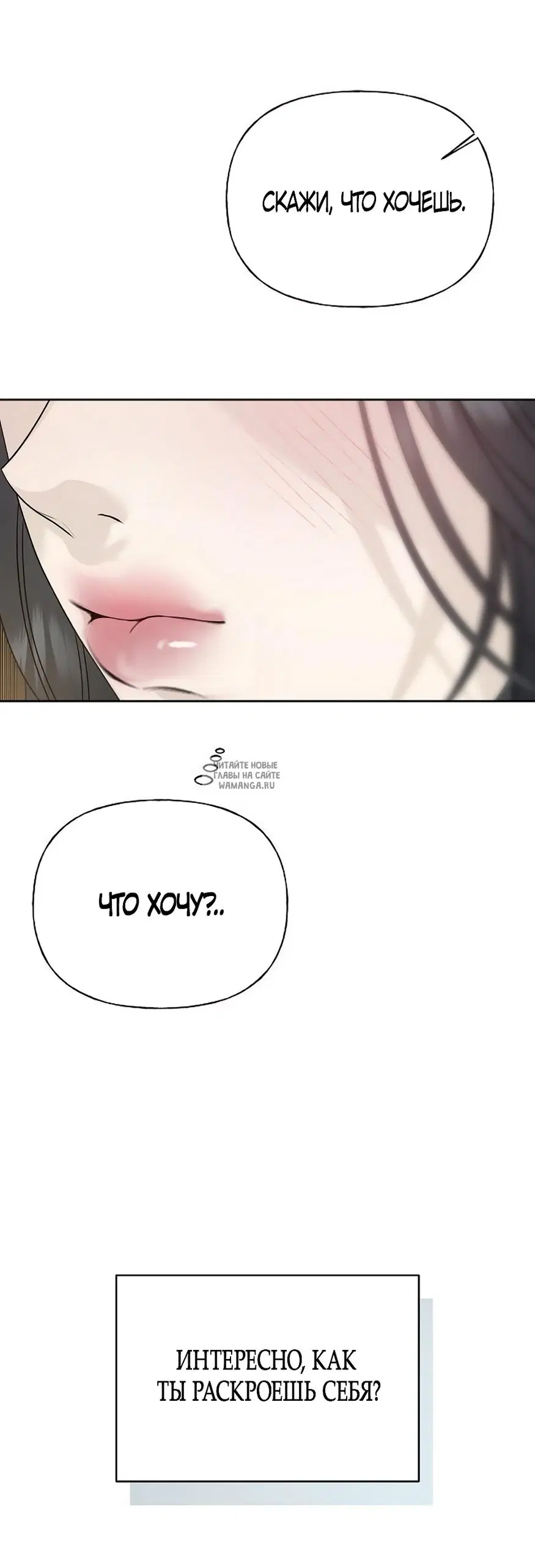 Page 81.000