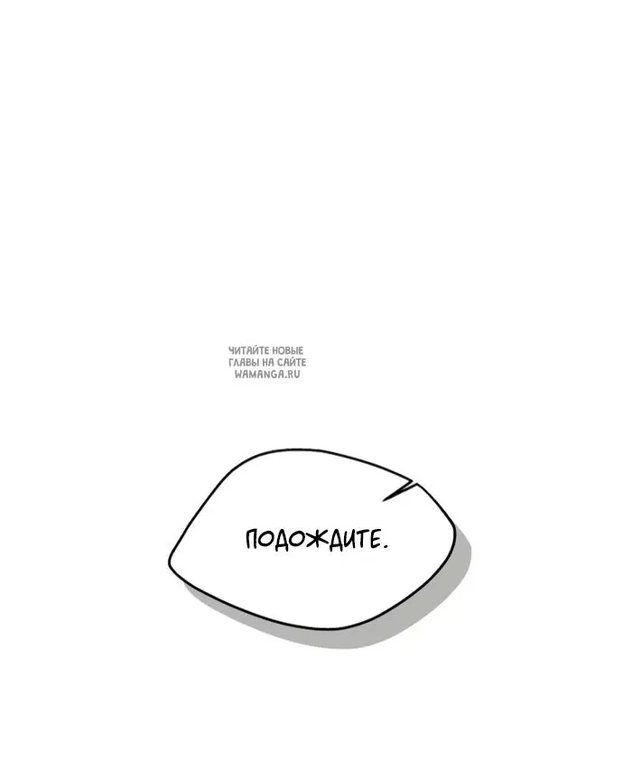 Page 81.000