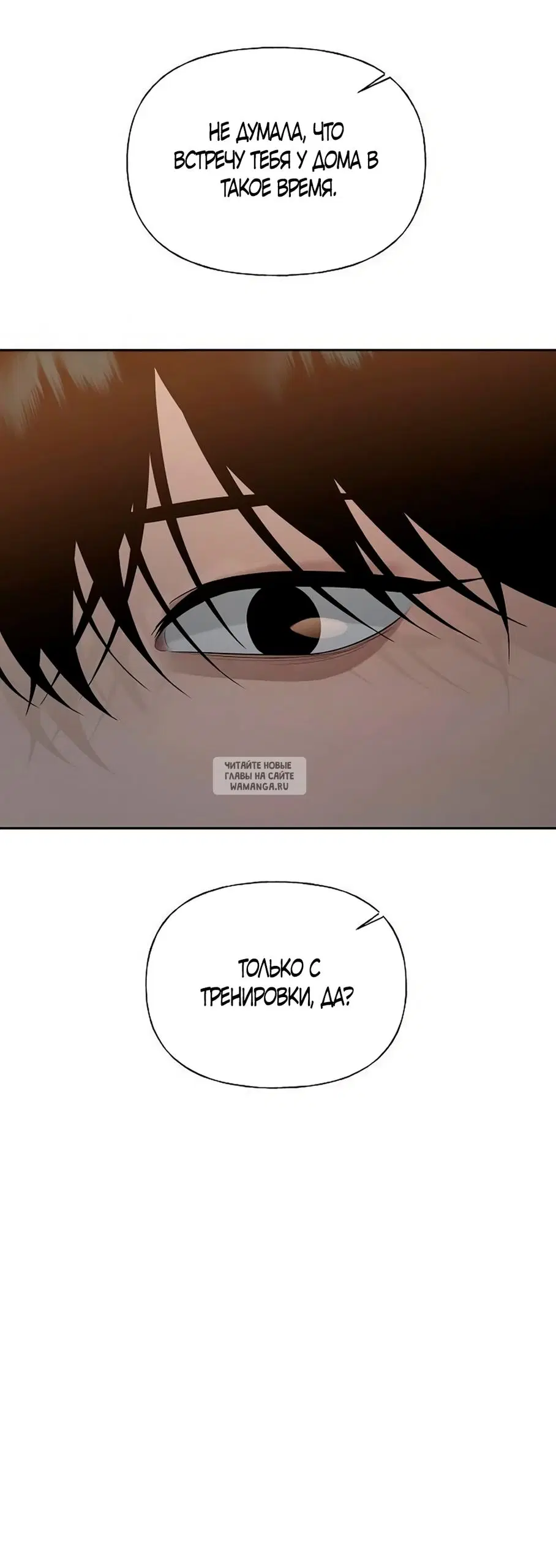 Page 81.000