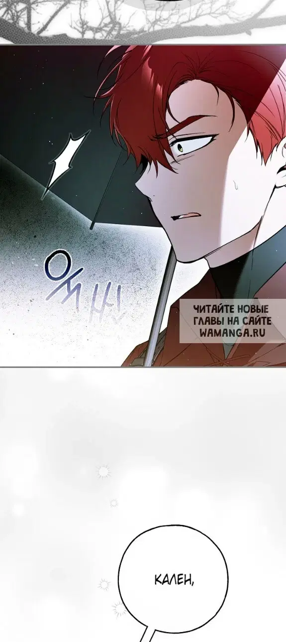 Page 50.000