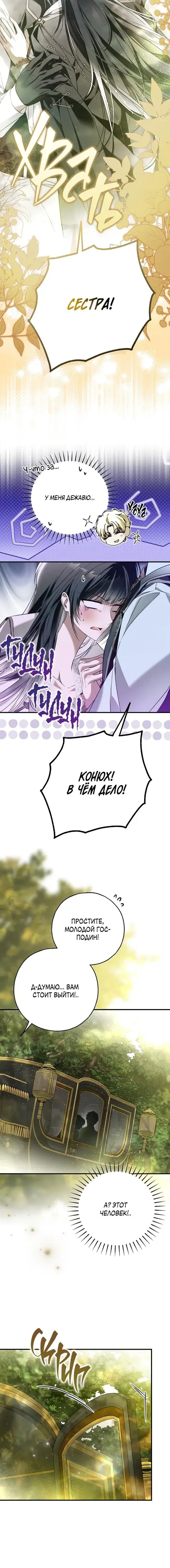 Page 6.001