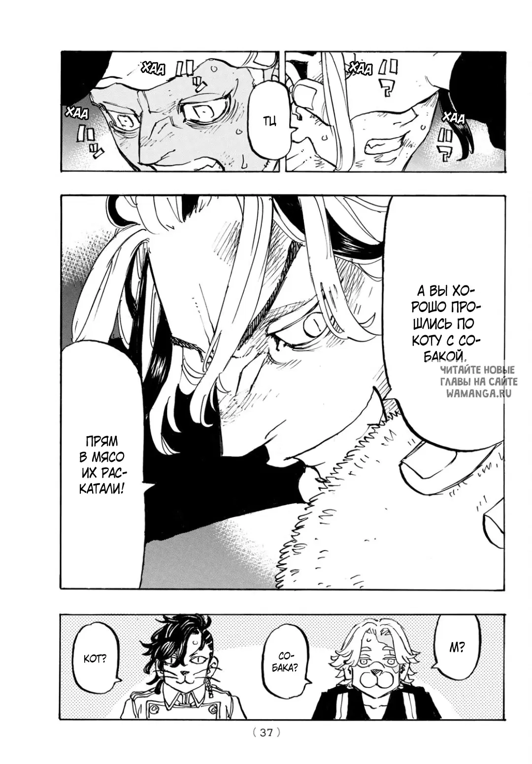 Page 11.000