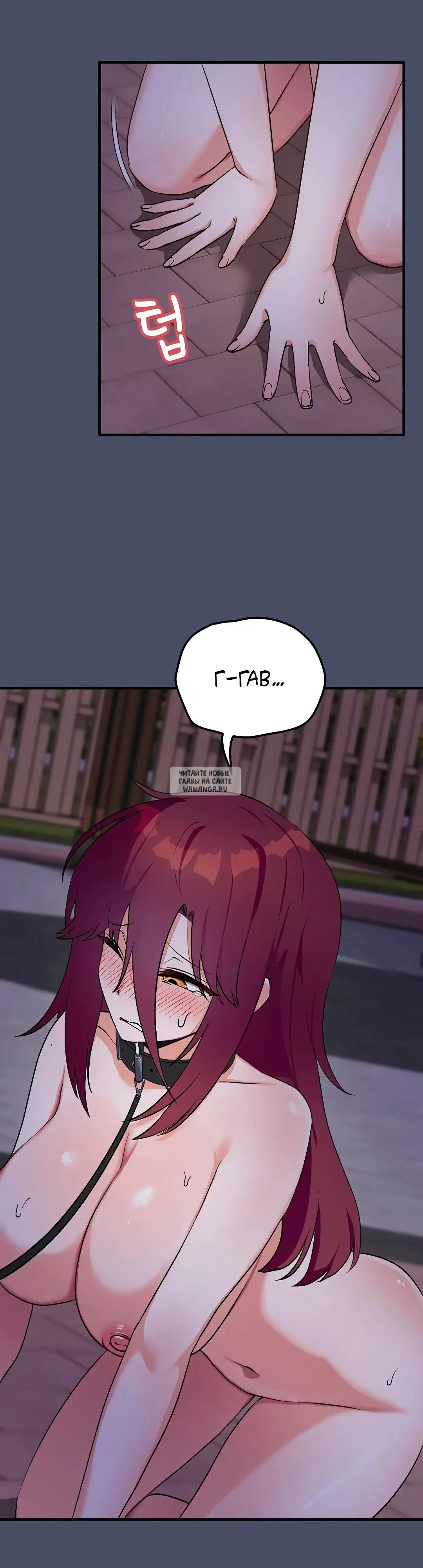 Page 20.000