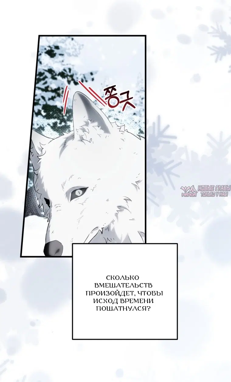 Page 55.000