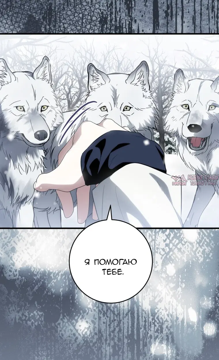 Page 21.000