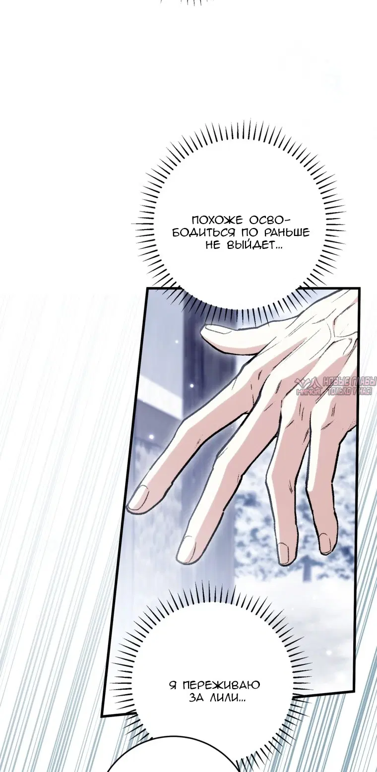 Page 33.000