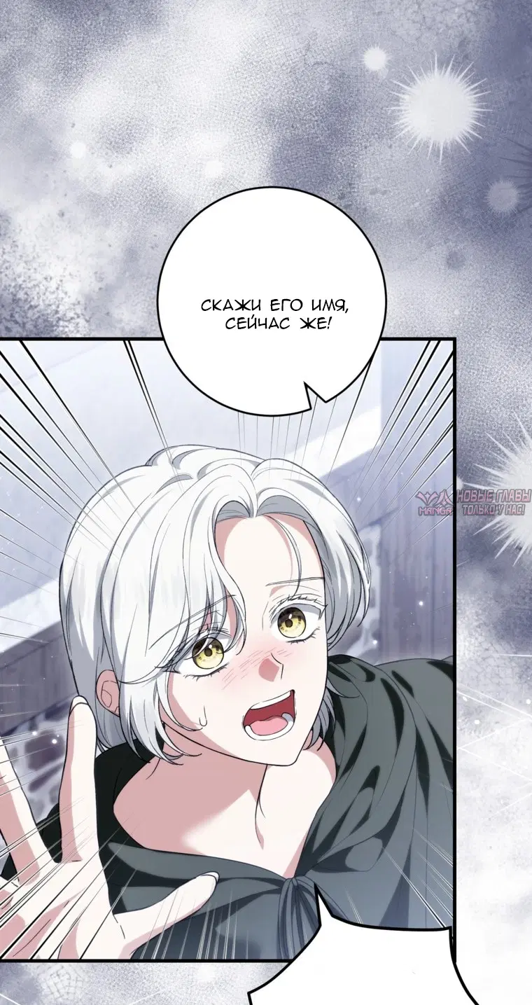 Page 36.000
