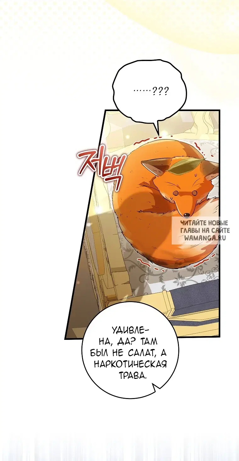 Page 48.000