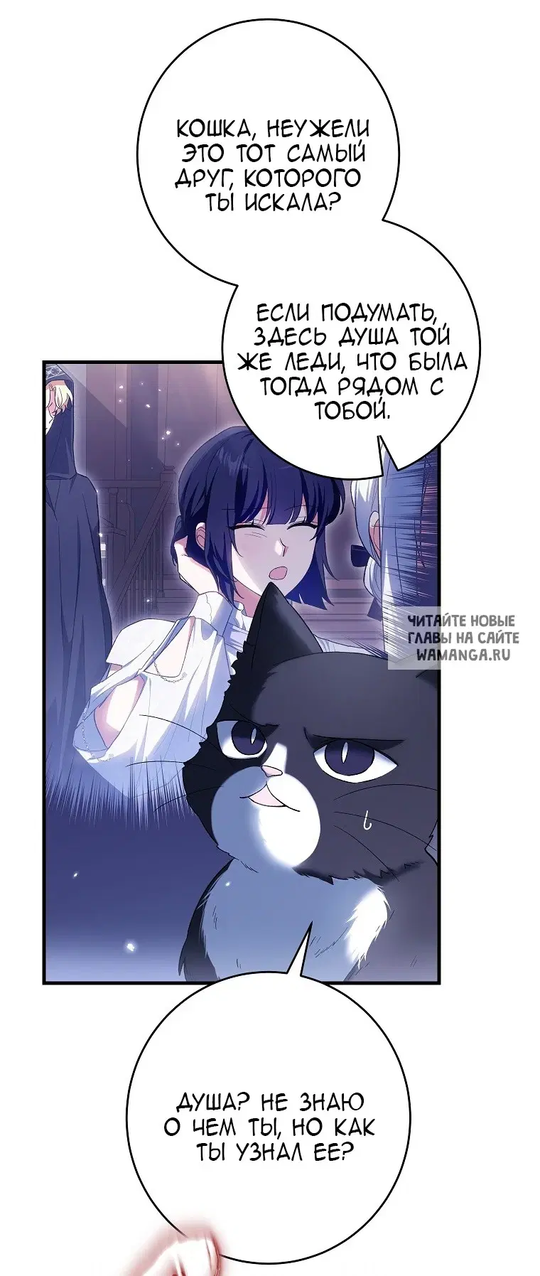 Page 49.000