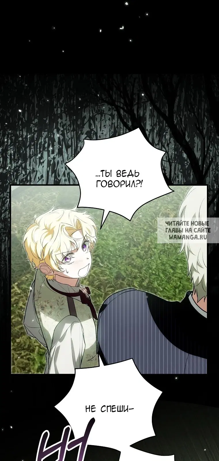 Page 40.000
