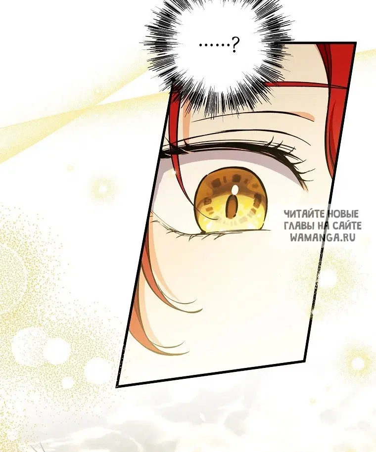 Page 41.000