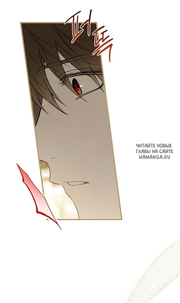 Page 43.000