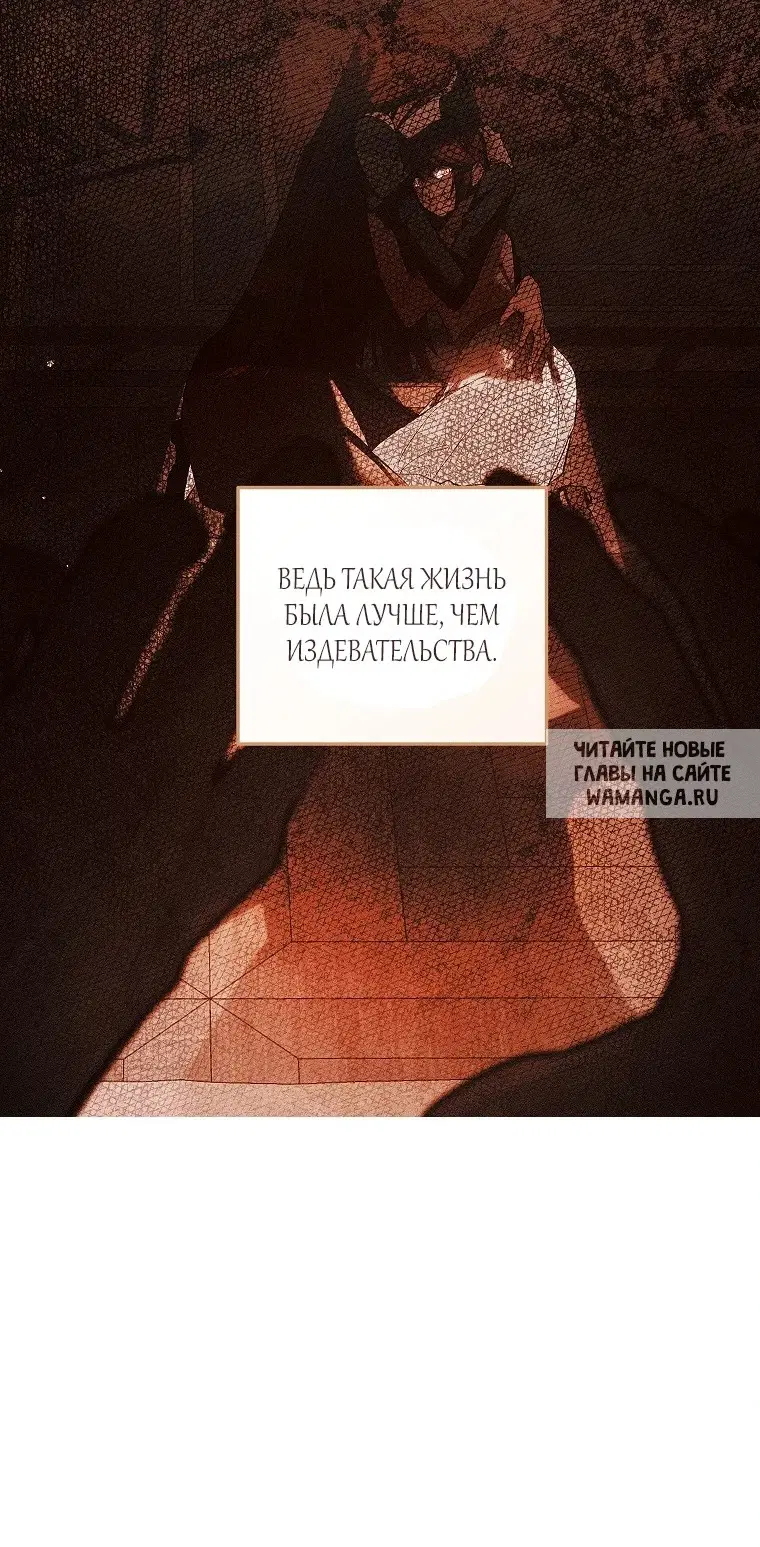 Page 50.000