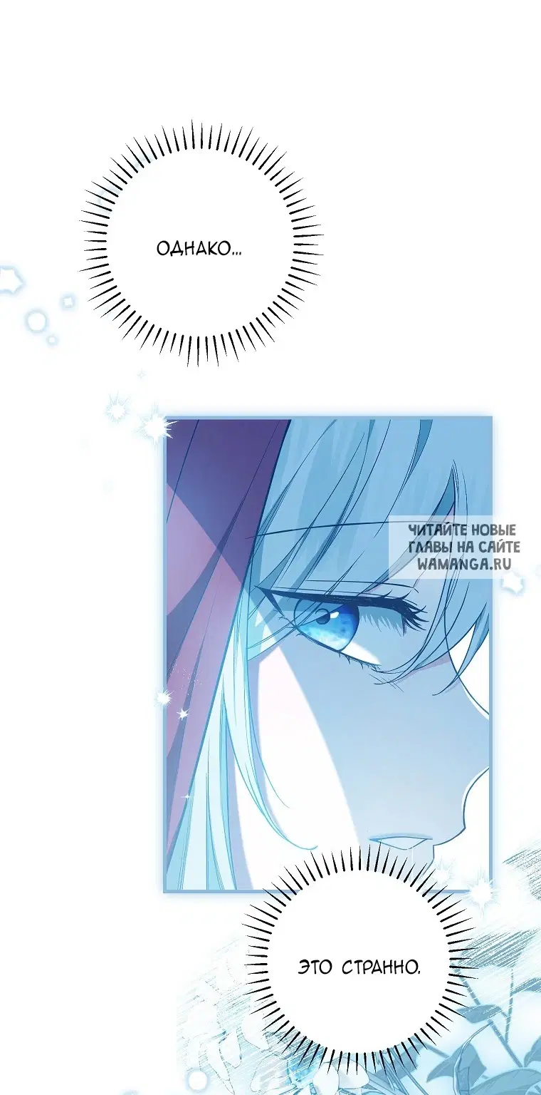 Page 53.000