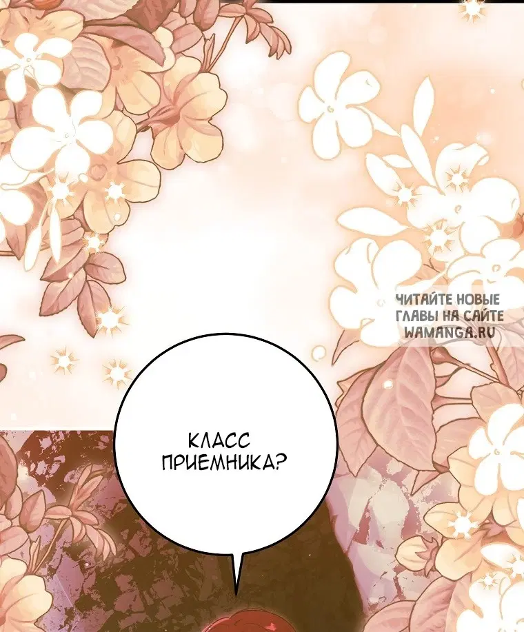 Page 61.000