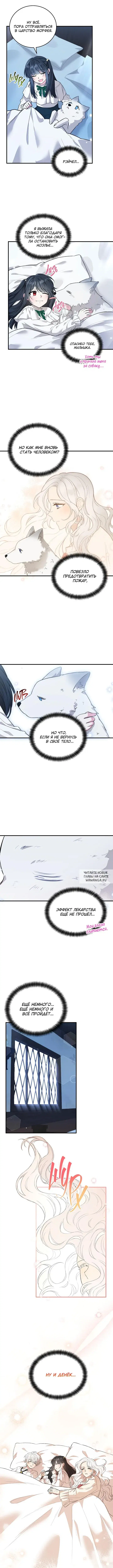 Page 8.000