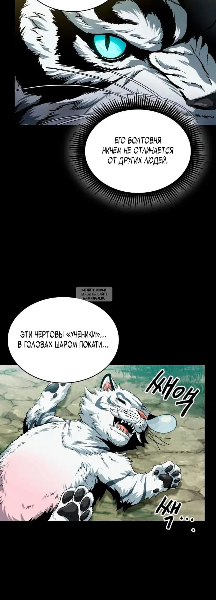 Page 21.000