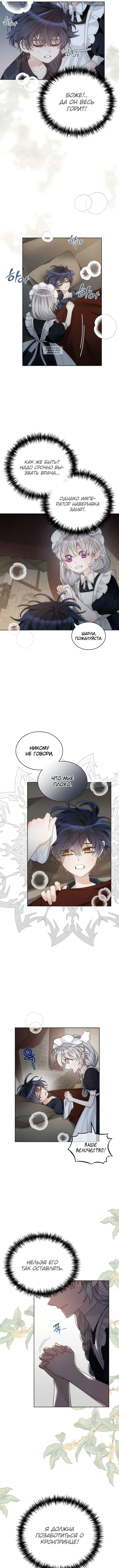 Page 5.001