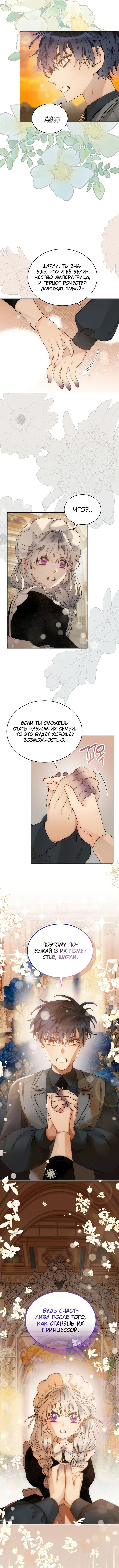 Page 5.001