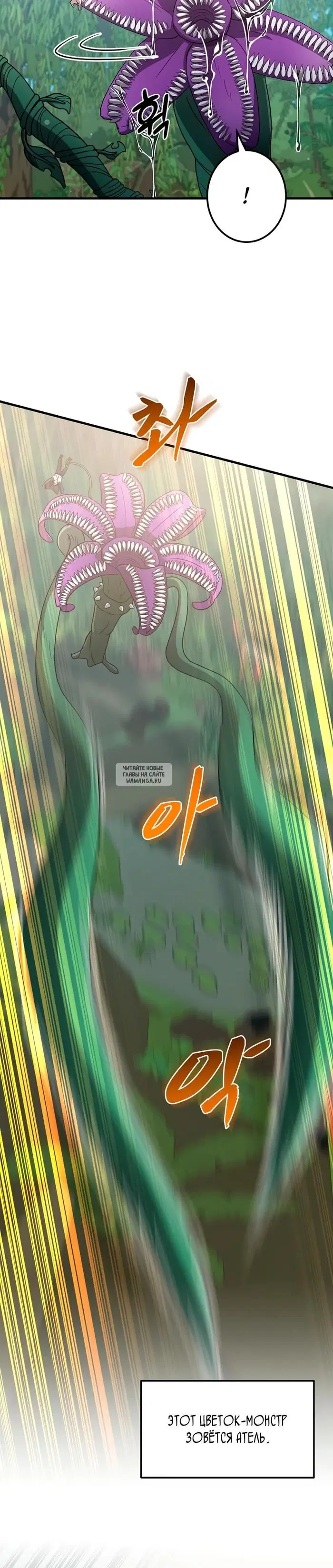 Page 20.000
